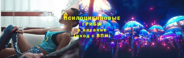 прущая мука Абаза