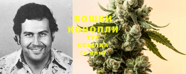 PSILOCYBIN Абдулино