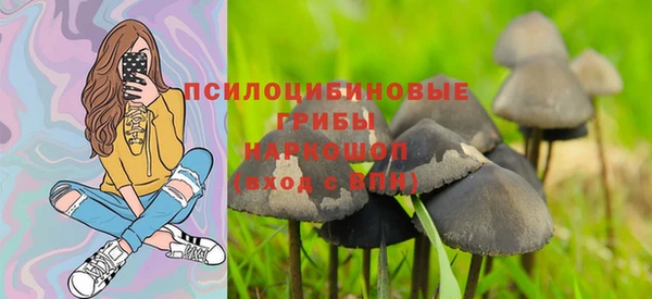 PSILOCYBIN Абдулино