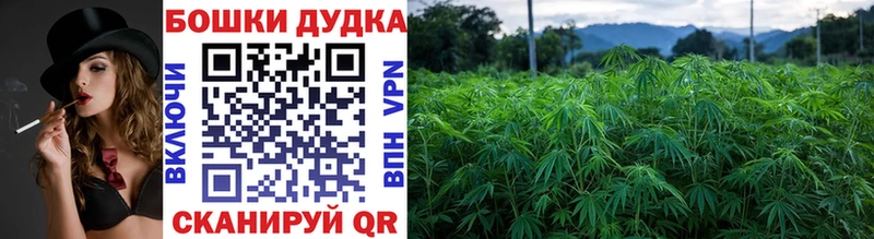 Конопля гибрид Соликамск